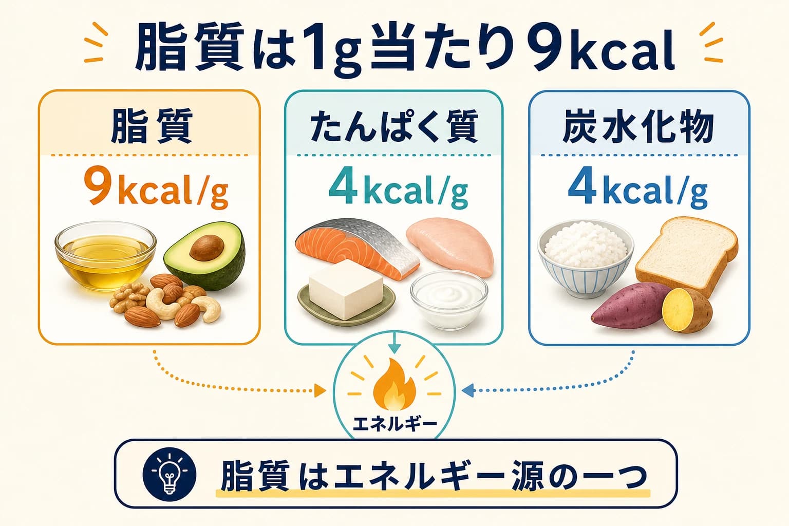 脂質、たんぱく質、炭水化物の1g当たりのエネルギー量を示す図
