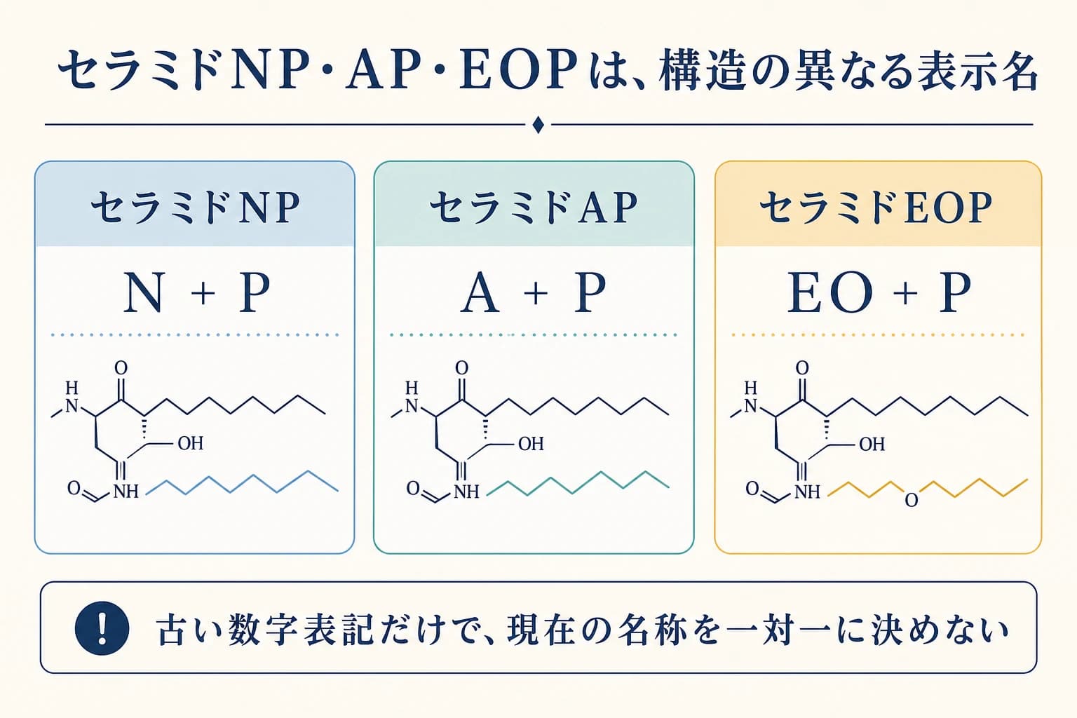 セラミドNP、AP、EOPなどの表示名を確認する図解