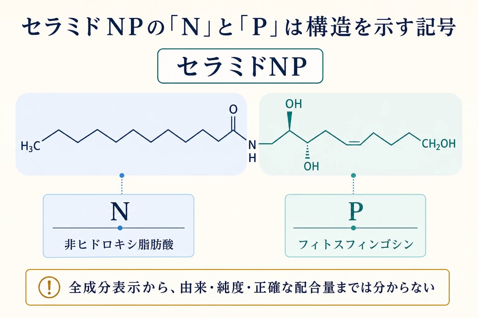 セラミドNPのNは非ヒドロキシ脂肪酸、Pはフィトスフィンゴシンを示す図解