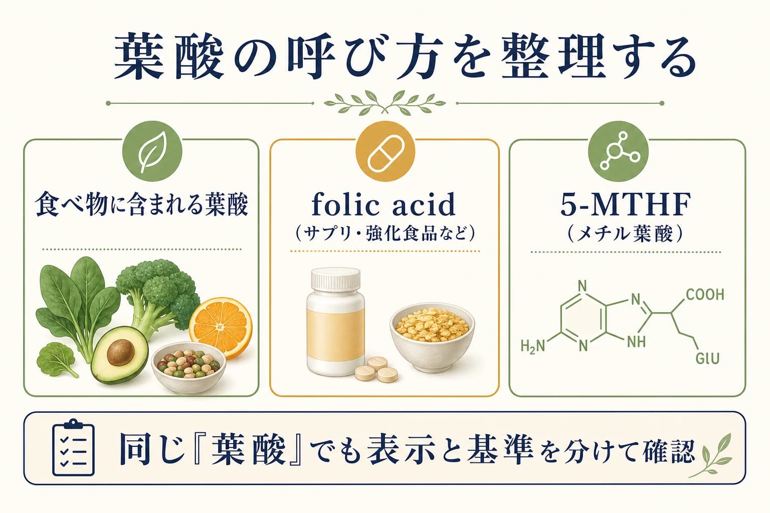 食べ物の葉酸、folic acid、5-MTHFの呼び方と表示を整理する図