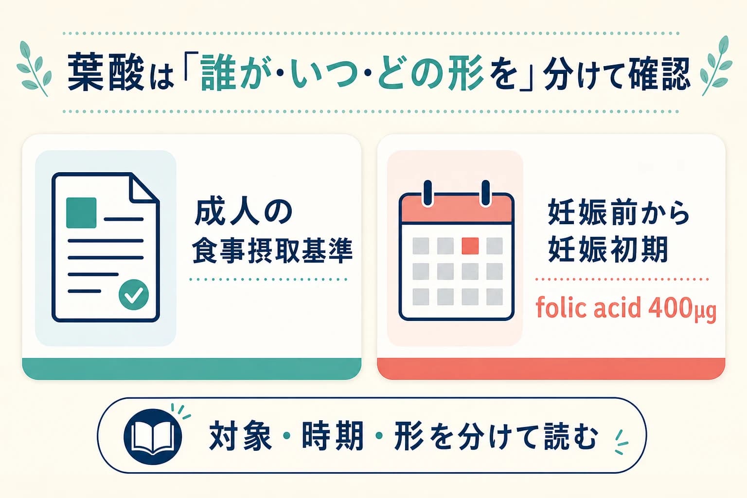 葉酸の食事摂取基準と妊娠前から妊娠初期のfolic acidを対象と時期で分けて読む図