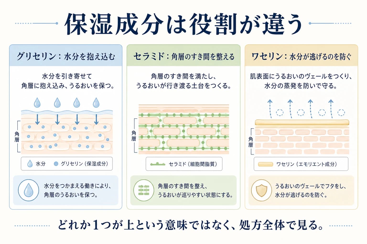 グリセリン、セラミド、ワセリンの保湿における役割の違い