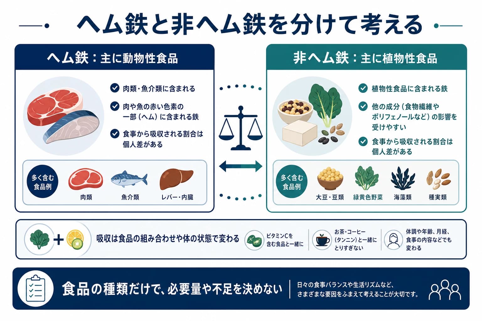 ヘム鉄と非ヘム鉄、食品の組み合わせで吸収が変わることを示す図