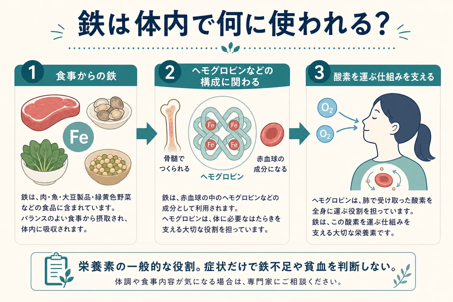 鉄がヘモグロビンなどを通じて酸素を運ぶ仕組みを支える概念図