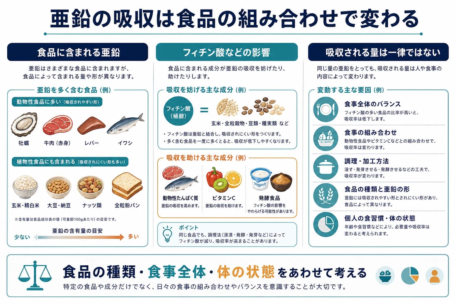 亜鉛の吸収が食品の組み合わせやフィチン酸などで変わることを示す図