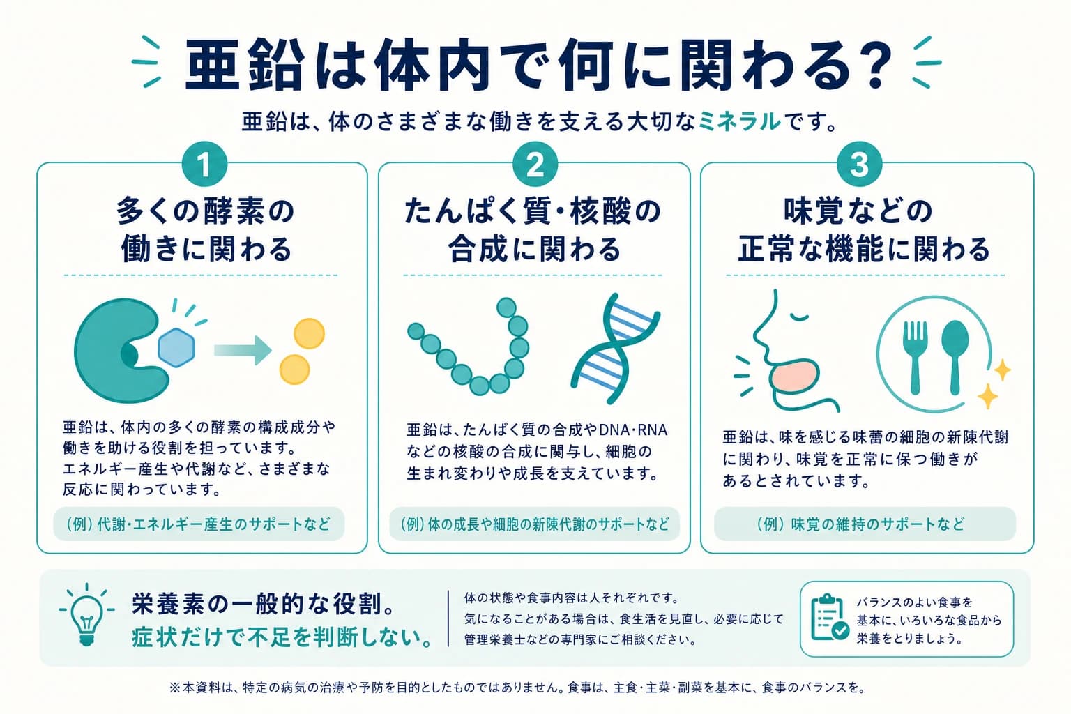亜鉛が酵素、たんぱく質と核酸の合成、味覚などに関わる一般的な役割